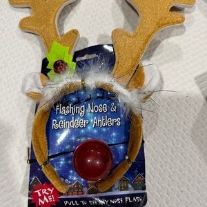 Rudolph Christmas antlers and light up nose